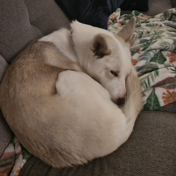 Meet your Posher, Rick - Picture 4 of 8